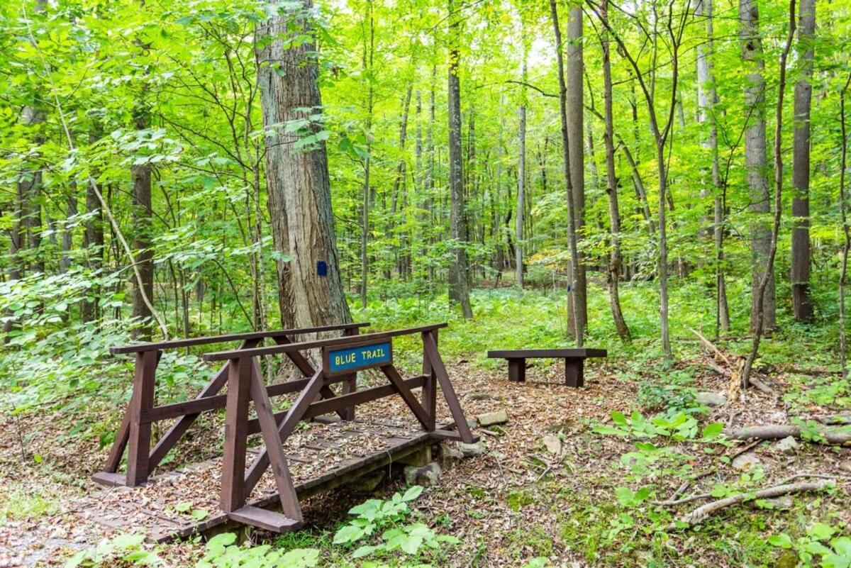 Huge Cabin W Hot Tub, Deck, Grill, Fire Pit, Wifi Berkeley Springs Exterior photo