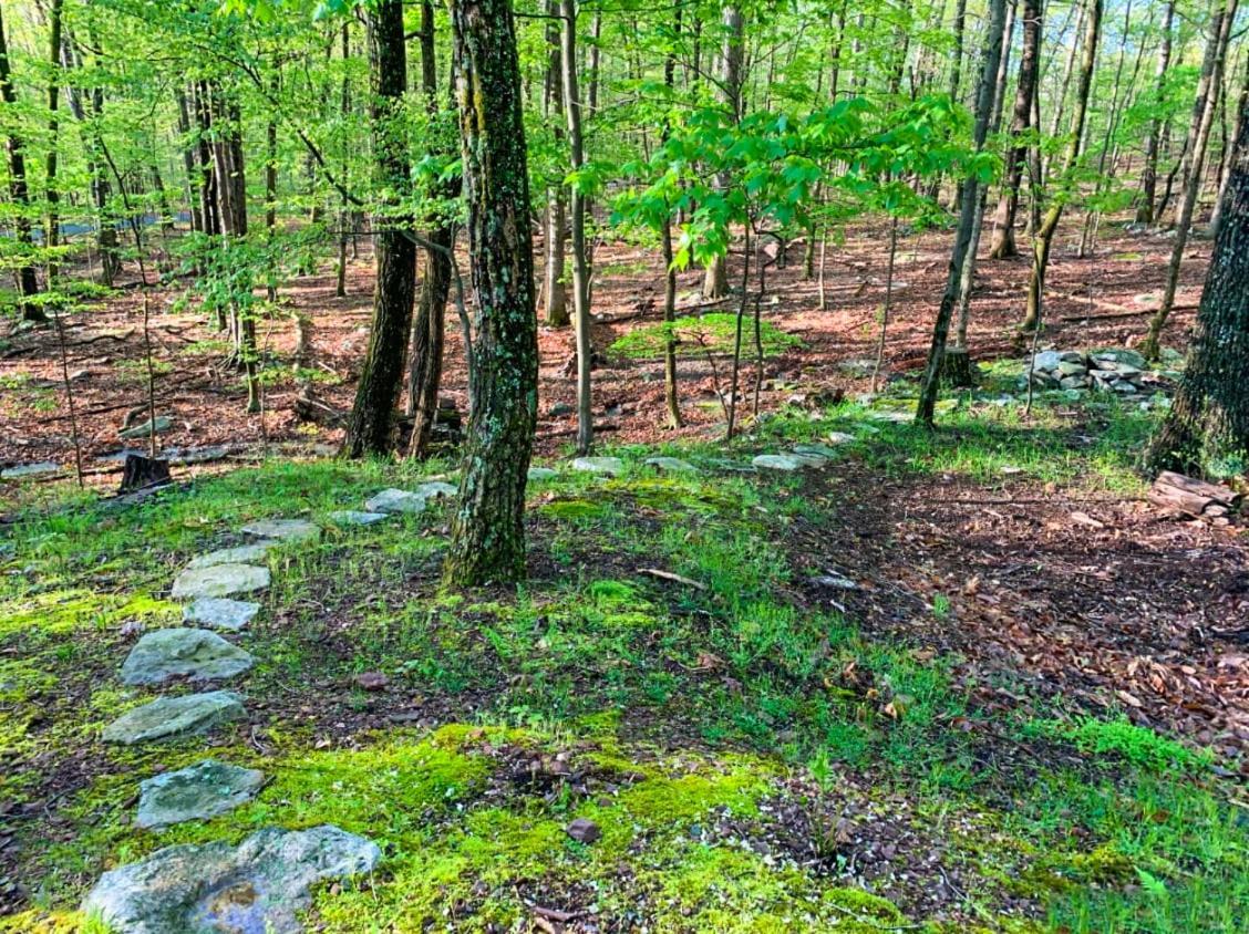 Huge Cabin W Hot Tub, Deck, Grill, Fire Pit, Wifi Berkeley Springs Exterior photo